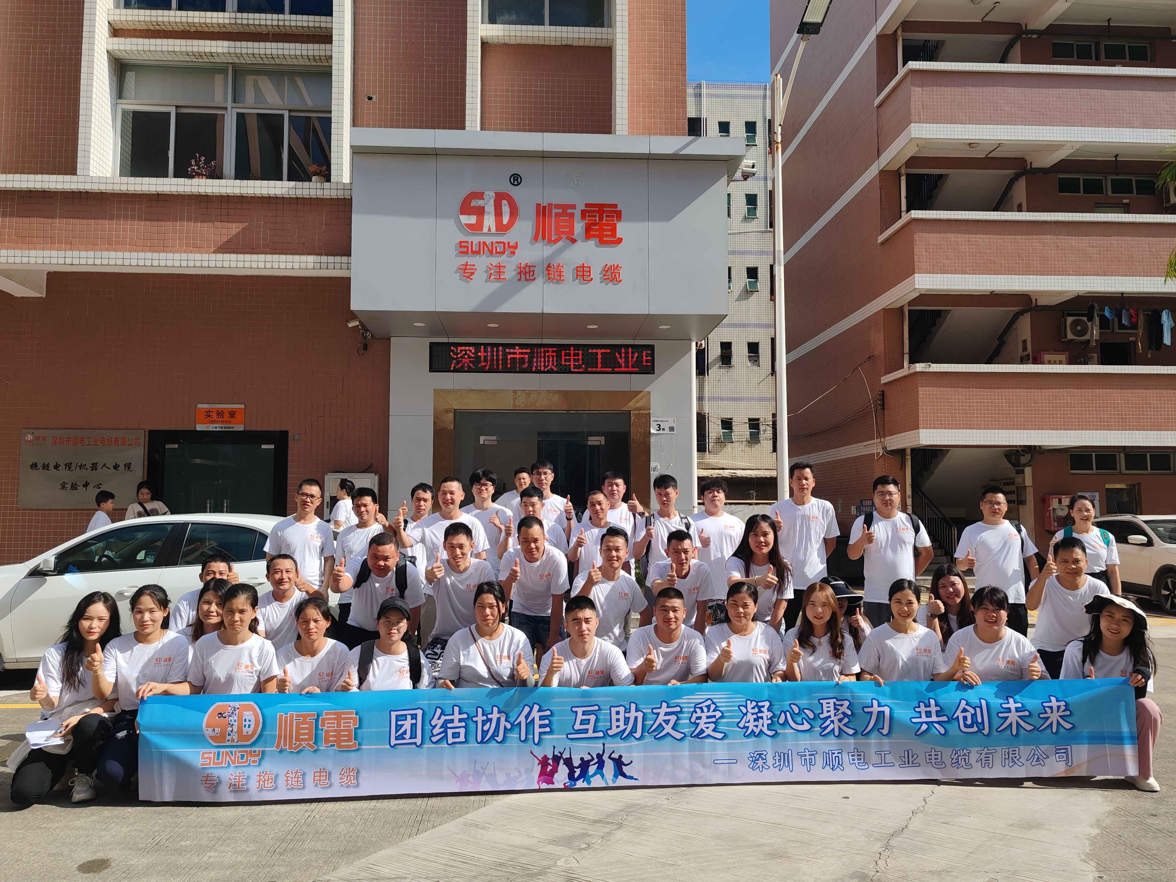 探索極致暢玩，順電獨(dú)特海島之旅！   